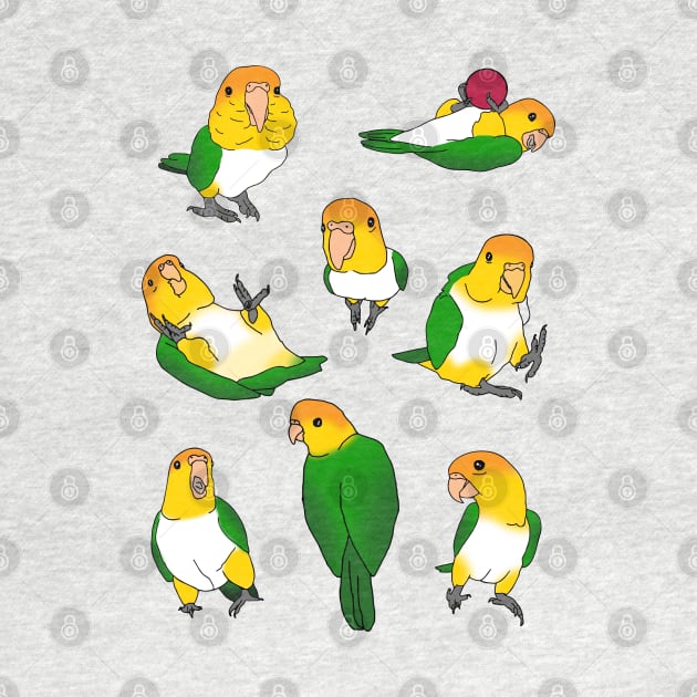 caique doodle pattern by FandomizedRose